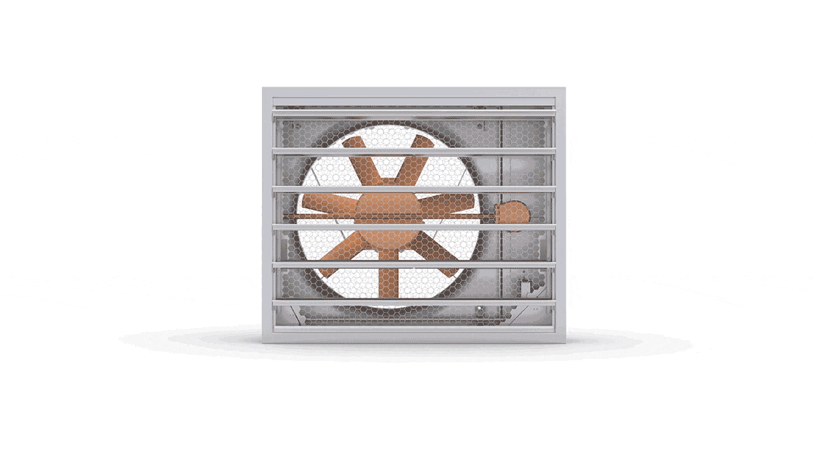 3D GIF